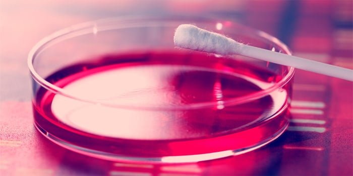 הורשע ברצח לאחר 12 שנה בעקבות דגימת DNA שנמצאה בזירה הורשע ברצח לאחר 12 שנה בעקבות דגימת DNA שנמצאה בזירה