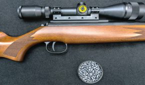 האם מותר להחזיק ולהשתמש ברובה אוויר?