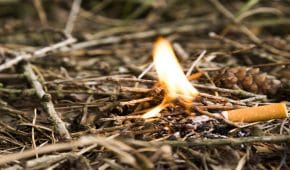 עבירות פזיזות ורשלנות