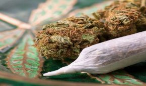 החזקת סמים שלא לצריכה עצמית