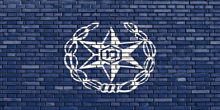 סוכן מדיח או סוכן סמוי במשפט הפלילי