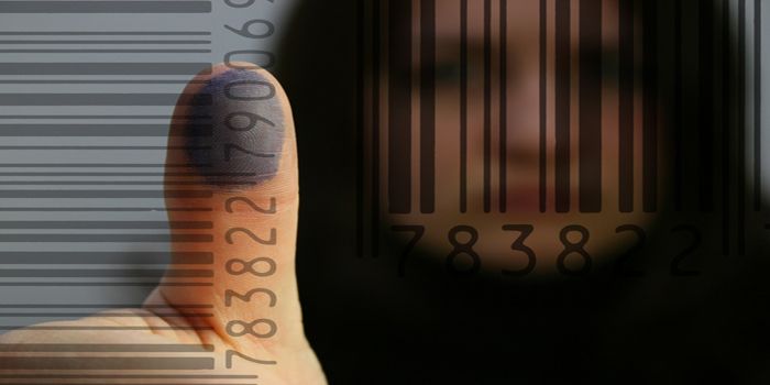 קל לפתוח רישום פלילי – קשה לחיות איתו קל לפתוח רישום פלילי – קשה לחיות איתו