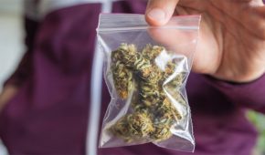 מדיניות חדשה בצה"ל: חיילים לא יופללו על שימוש חד-פעמי בסמים קלים