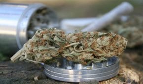 החזקה או שימוש בסמים לצריכה עצמית