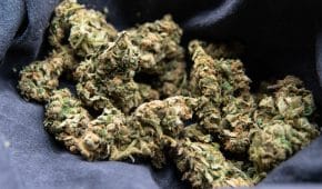 אדם שנתפס מחזיק בסם שלא לצריכה עצמית זוכה עקב חיפוש לא חוקי ברכבו