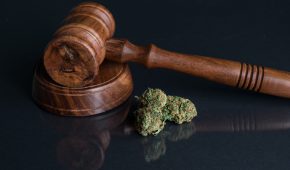 בוטלה הרשעתו של צעיר שהואשם בסחר ותיווך בסמים בזכות תהליך שיקום מוצלח