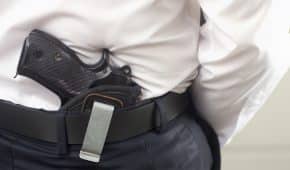 קבלת ערר על החלטת פקיד רישוי כלי ירייה והחזרת נשק ללקוח שנחשד בפדופיליה