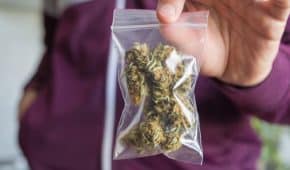 סגירת תיק פלילי ללקוח שהואשם בסחר בסם מסוג קנאביס