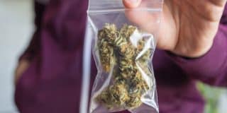 סגירת תיק פלילי ללקוח שהואשם בסחר בסם מסוג קנאביס