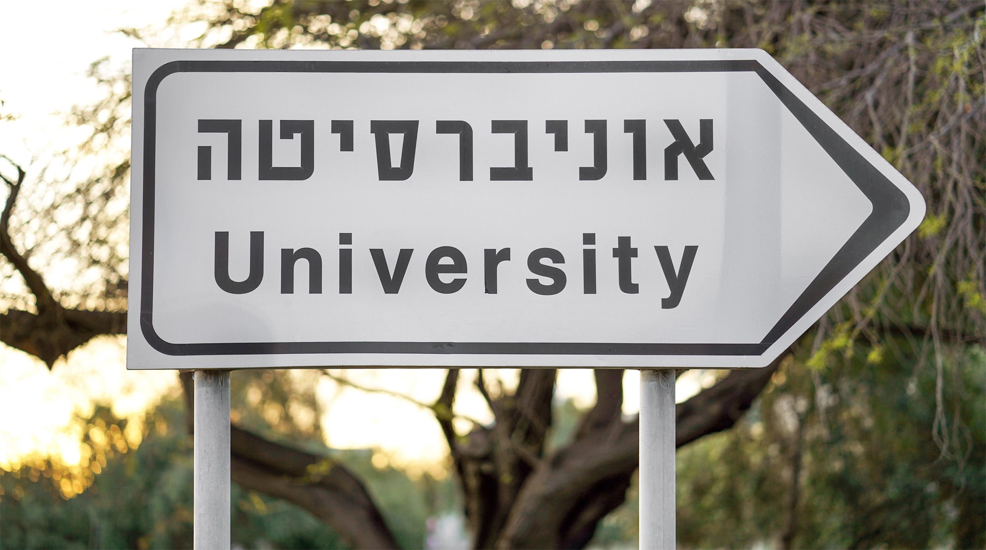 קבלת ערעור של סטודנט מאריאל שהורשע בהונאה בבחינה