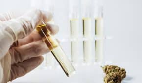 בדיקות שתן לגילוי סמים – איך והיכן הן מתבצעות