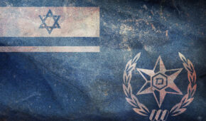 סגירת תיק ללא רישום פלילי לקטין שנחשד בביצוע מספר רב של עבירות רכוש ממניע גזעני