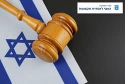 החזרת רישיון תיווך במקרקעין ללקוח שנחשד בתקיפת אם גרושתו ובנו הקטין