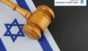 החזרת רישיון תיווך במקרקעין ללקוח שנחשד בתקיפת אם גרושתו ובנו הקטין