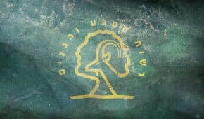 פטור מאיסור עיסוק לפקח רשות הטבע והגנים שהורשע בעברו בעבירות מין חמורות