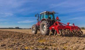 עבירת גניבה חקלאית – משמעותה והעונש בצידה